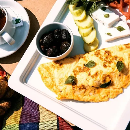 4- Family 4* ميتامورفوسي