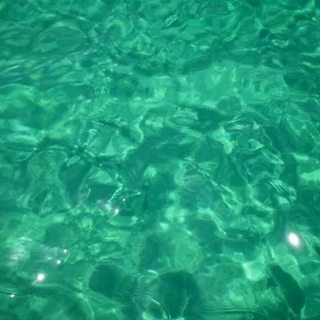 4- Family Aparthotel Metamorfosi (Sithonia)