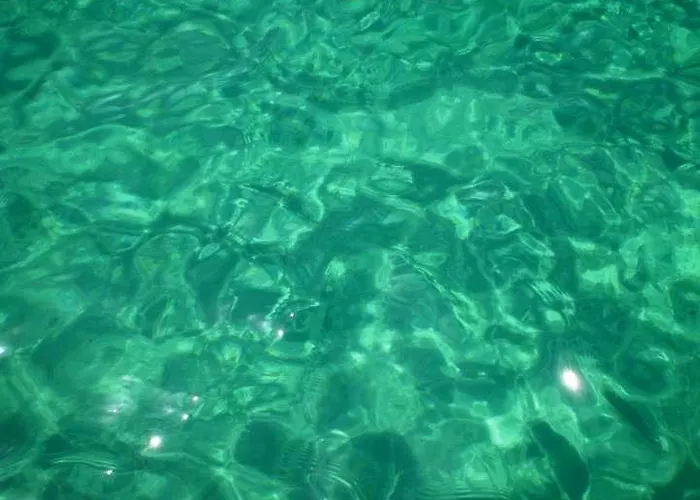 4- Family Aparthotel Metamorfosi (Sithonia)